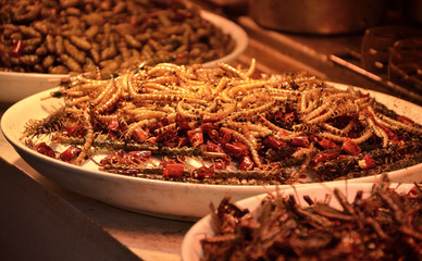 Exotic Food Market with Meat and Bugs in Yangshuo , Guilin, China