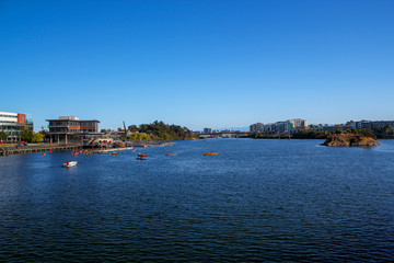 Harbor / Marina in Victoria on Vancouver Island