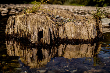water log