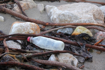 old plastic bottles among sticks and algae lie on the seashore, concept of ecology and environmental protection