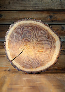  Wooden trunk slice cut from the tree on wooden background . Pine tree. 