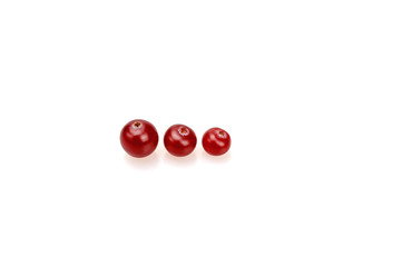 Cranberries on a white background. Close-up.