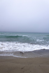 waves on the beach grey foggy day sea horizon 