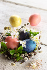 Colored Easter eggs, willow branches and spring flowers on a white wooden background.