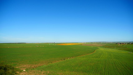 Fototapeta premium Bright landscape of Morocco, breathtaking curves of mountains, stunning combination of hills & farm land,inadvertent distribution of houses & huts, raw impression of pure nature.