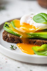 Healthy breakfast whole wheat toasted bread with avocado and poached egg over white background