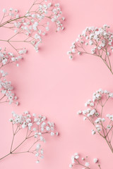 Small white gypsophila flowers lying in a frame on a pink background with place for text.