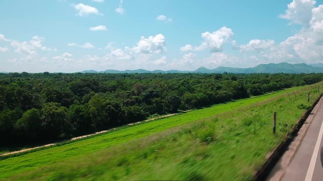 Green forests of the Udawalawe National Park in Sri Lanka.