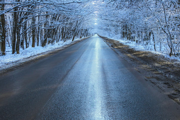 Road among the trees. Corresponds to the seasons of the year: autumn, winter, spring. Day, tree branches close the road, forming a tunnel. Water, ice, and frost form a dangerous slippery slope.