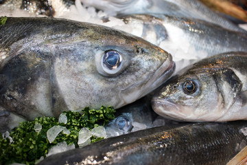 Fresh fish on ice. Sale of fresh frozen fish on farmer's bazaar. Open showcases of seafood market. Fish store