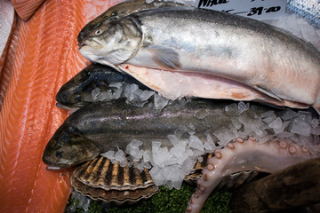 Fresh fish on ice. Sale of fresh frozen fish on farmer's bazaar. Open showcases of seafood market. Fish store