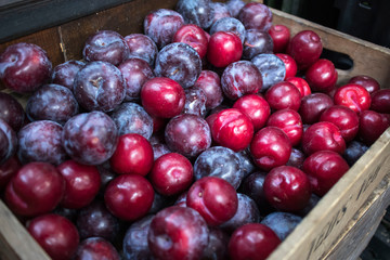 Wooden box full of red plum for sale
