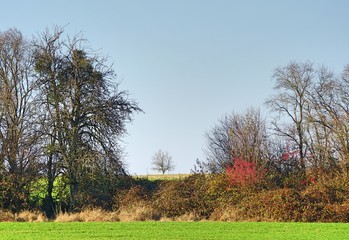 Lichtblick