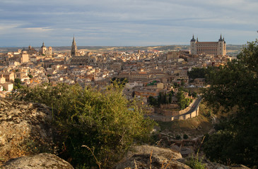 Fototapeta na wymiar Paisaje de Toledo con arbustos