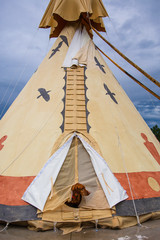 dog in a tent © Debra