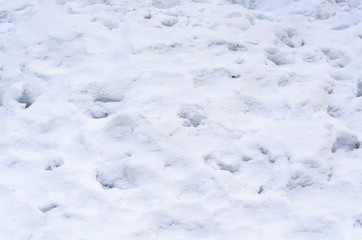 Background of fresh snow white natural texture pattern for minimalistic design in grey tone. Top view witn snowflakes. Concept of abstract winter surface with various traces and copy space for text.