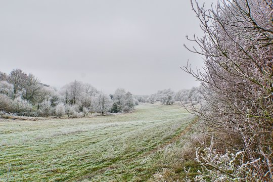 Winterlandschaft im Bliesgau