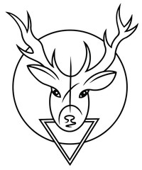 Fototapeta na wymiar vector illustration of a deer