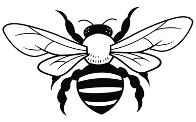 vector illustration of a bee