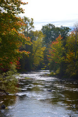 River Flowing through autumn colourd leaves