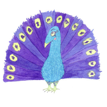 Bright cute violet-blue peacock with an alluring look. Watercolor Hand drawn Illustration