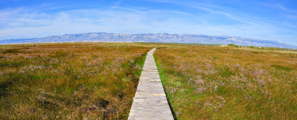 Eco Park of the Nin Lagoon. Nin’ s lagoon. Endemic, endangered species. Wooden trails and...