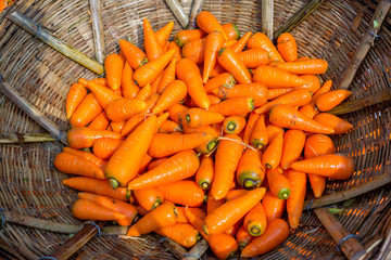 Fresh and washed organic harvested carrots in bamboo bucket. Food background. Near Savar District at Dhaka, Bangladesh.