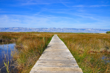 Obraz premium Eco Park of the Nin Lagoon. Nin’ s lagoon. Endemic, endangered species. Wooden trails and bridges. Muddy and sandy shore, marshes and wetlands. Home of great number of bird species. Scenery of Velebit