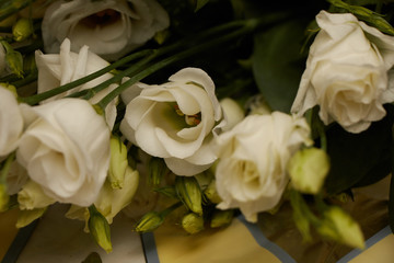 white roses