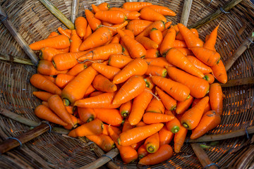 Fresh and washed organic harvested carrots in bamboo bucket. Food background. Near Savar District at Dhaka, Bangladesh.