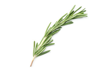 Rosemary isolated on white background