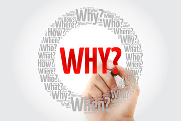 WHY? Question word and questions whose answers are considered basic in information gathering or...