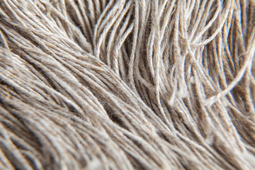 Macro shot of flax threads. Natural texture or fiber pattern.
