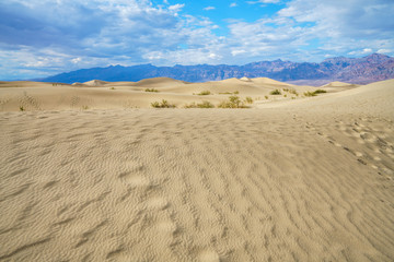 mesquite flat sand dunes in death valley, california, usa