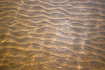 Sand see through the transparent water. River water and sandy bottom background.
