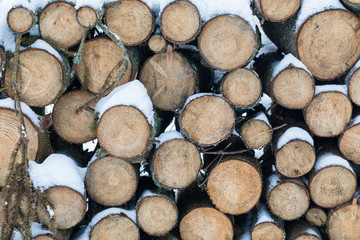 Pile of wooden logs under snow in winter, background, selective focus