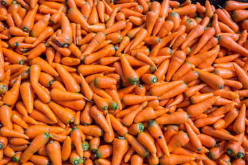 Colorful Organic carrots. Food background. Close-up, and washed carrots. Near Savar District at Dhaka, Bangladesh.
