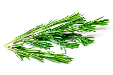 Fototapeta premium Isolated fresh green rosemary leaves, twigs and branches on white background.