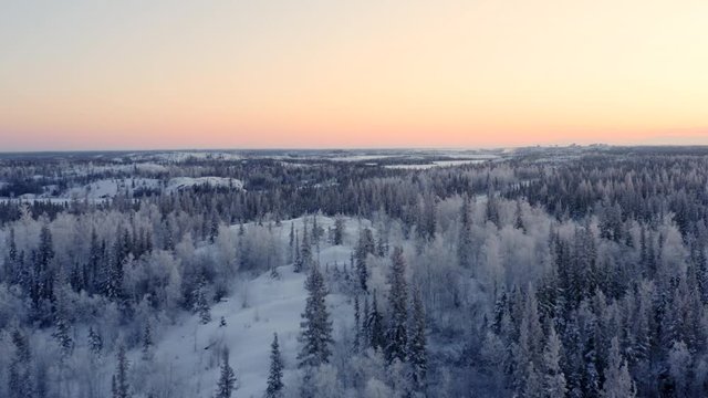 Aerial at winter above snow covered pine forest after sunset, canada