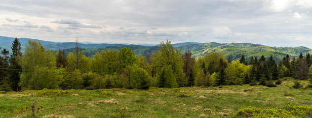 springzime bellow Velka Cantoryje hill in Slezske Beskydy mountains on czech-polish borders