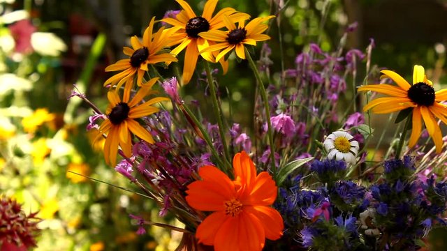 Bouquet of autumnal flowers in sunny garden with bees flying around. pan right