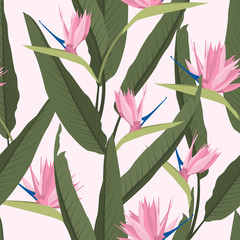 Seamless tropical pattern with strelitzia.