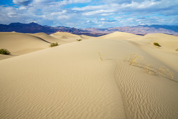mesquite flat sand dunes in death valley, california, usa