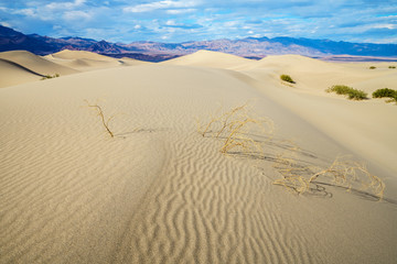 mesquite flat sand dunes in death valley, california, usa
