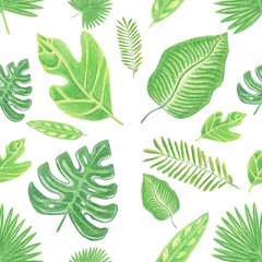 Seamless pattern of green watercolor pencils hand drawn tropic leaves on white background