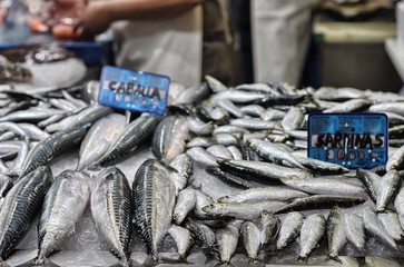 Fish for sale in the Central Market of Valencia, Spain