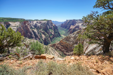 hiking the observation point trail in zion national park, usa