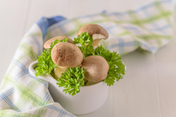 Frische Pilze mit Petersilie in einem Keramiktopf