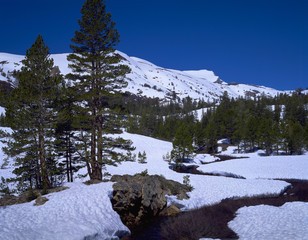 winter of Yosemite USA