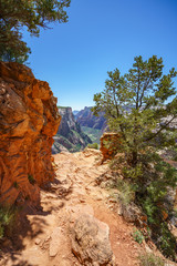 hiking the observation point trail in zion national park, usa